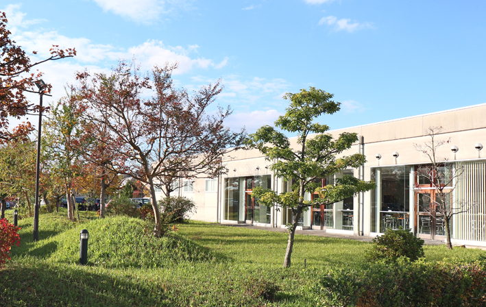 ラウンジの大きな窓から臨む、社屋前の木々。