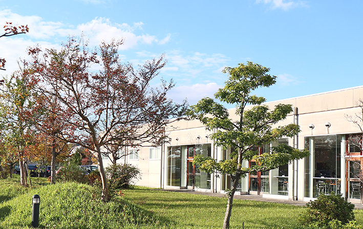 ラウンジの大きな窓から臨む、社屋前の木々。